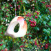 Ceramic Robin feeder