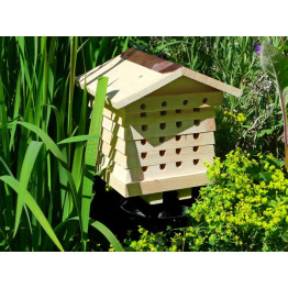 Solitary Beehive