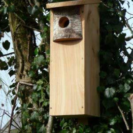 Woodpecker nest box