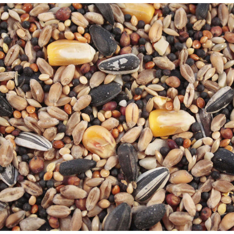 Wild bird food Premium Mix