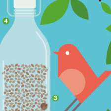 Build a bottle bird feeder