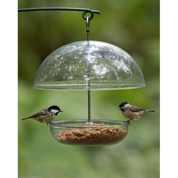 Robin feeder Special Bird Feeders British Bird Food - UK wild bird food suppliers, bird seed and garden wildlife