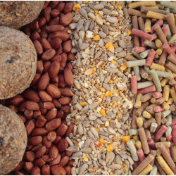 Seed and suet variety pack