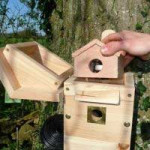 Colour camera multi nest box Wild Bird Nest Boxes British Bird Food - UK wild bird food suppliers, bird seed and garden wildlife