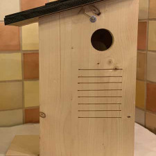 New, Red Squirrel box